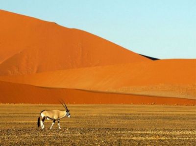 Rezension zu einer Selbstfahrerrundreise durch Namibia 