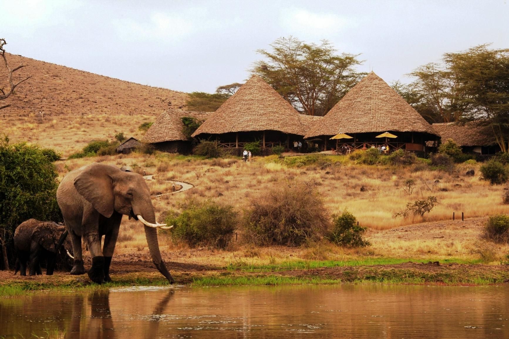 Elewana Tortilis Camp Amboseli