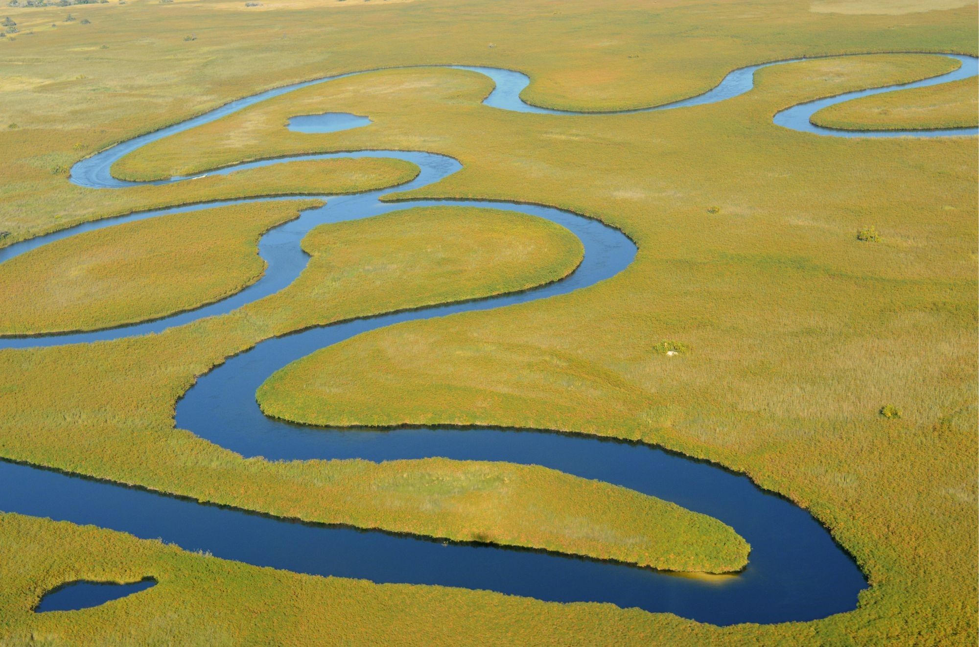 Okavango Delta