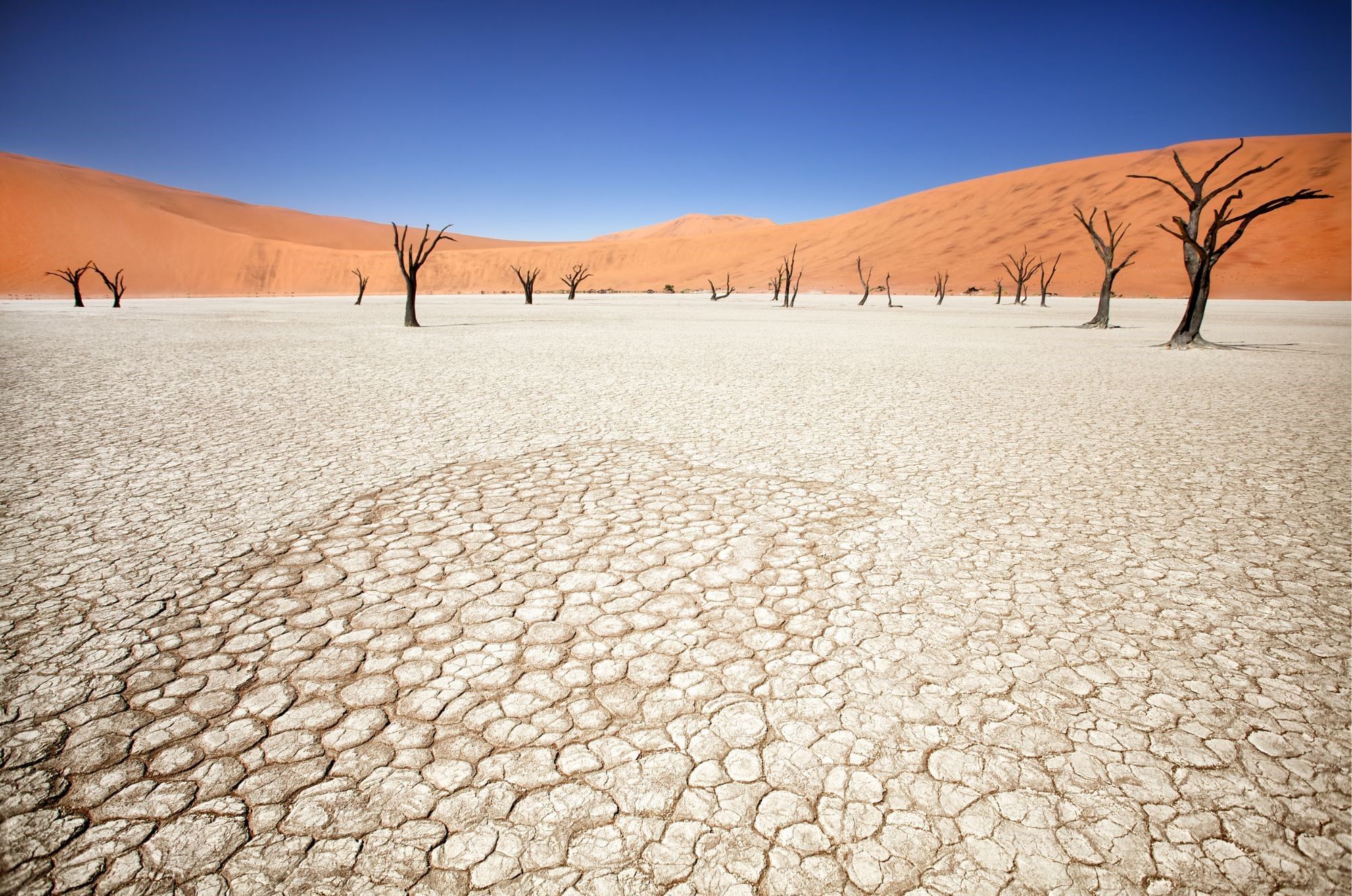 Deadvlei