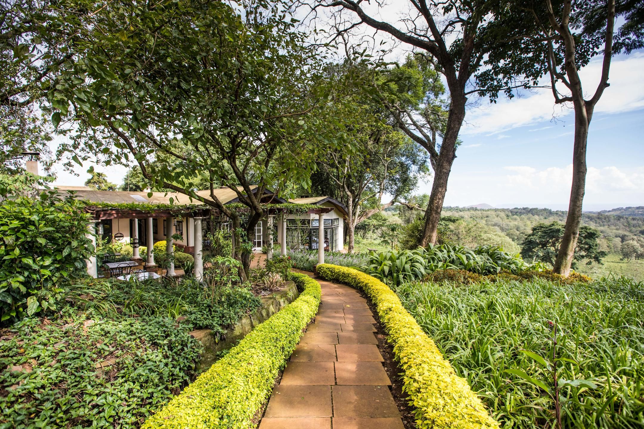 Pathway to the dining room