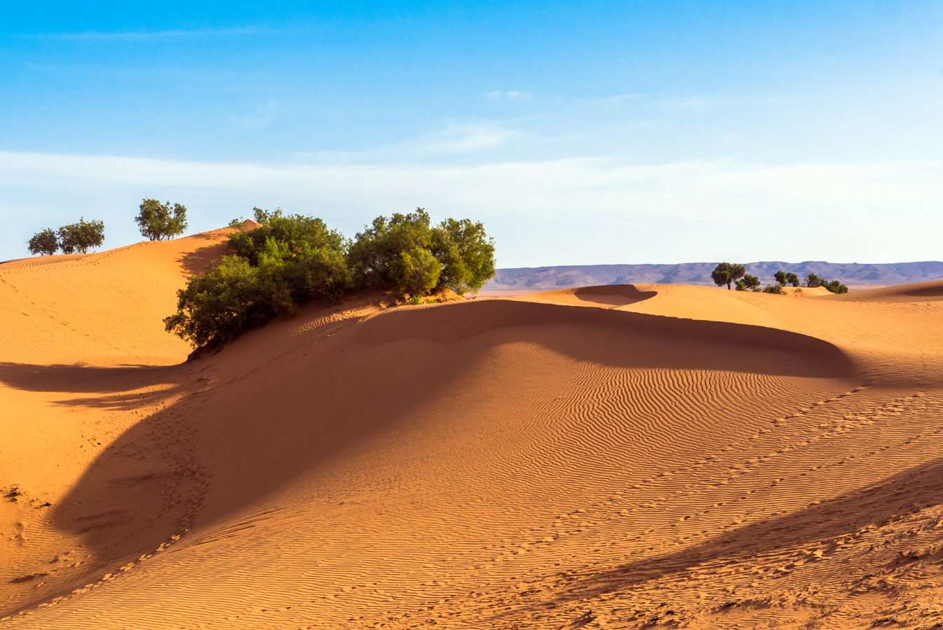 Sahara-Dünen_von_Erg_Chigaga.png