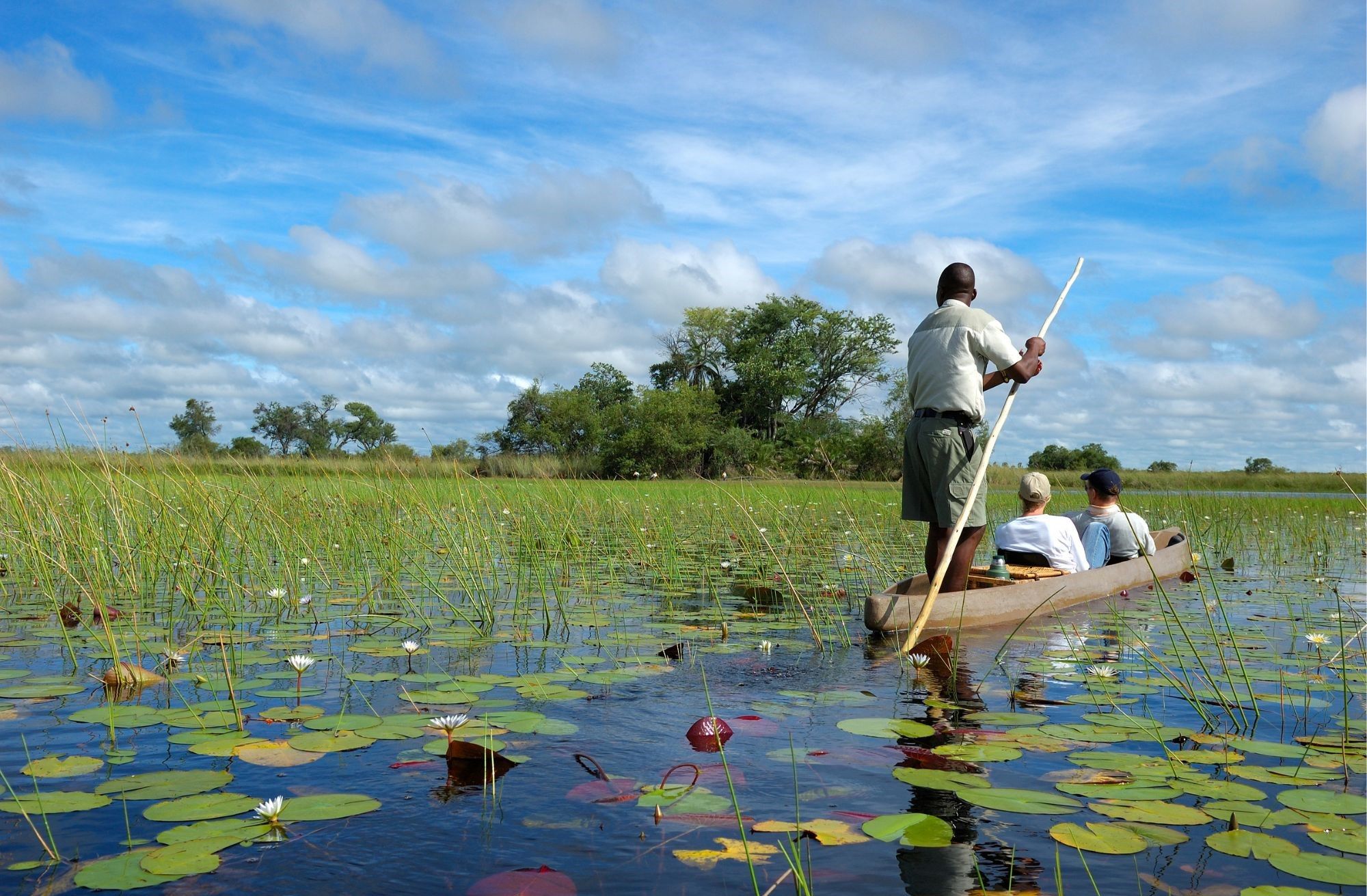 Eine Mokoro fahrt durch das Okavango Delta