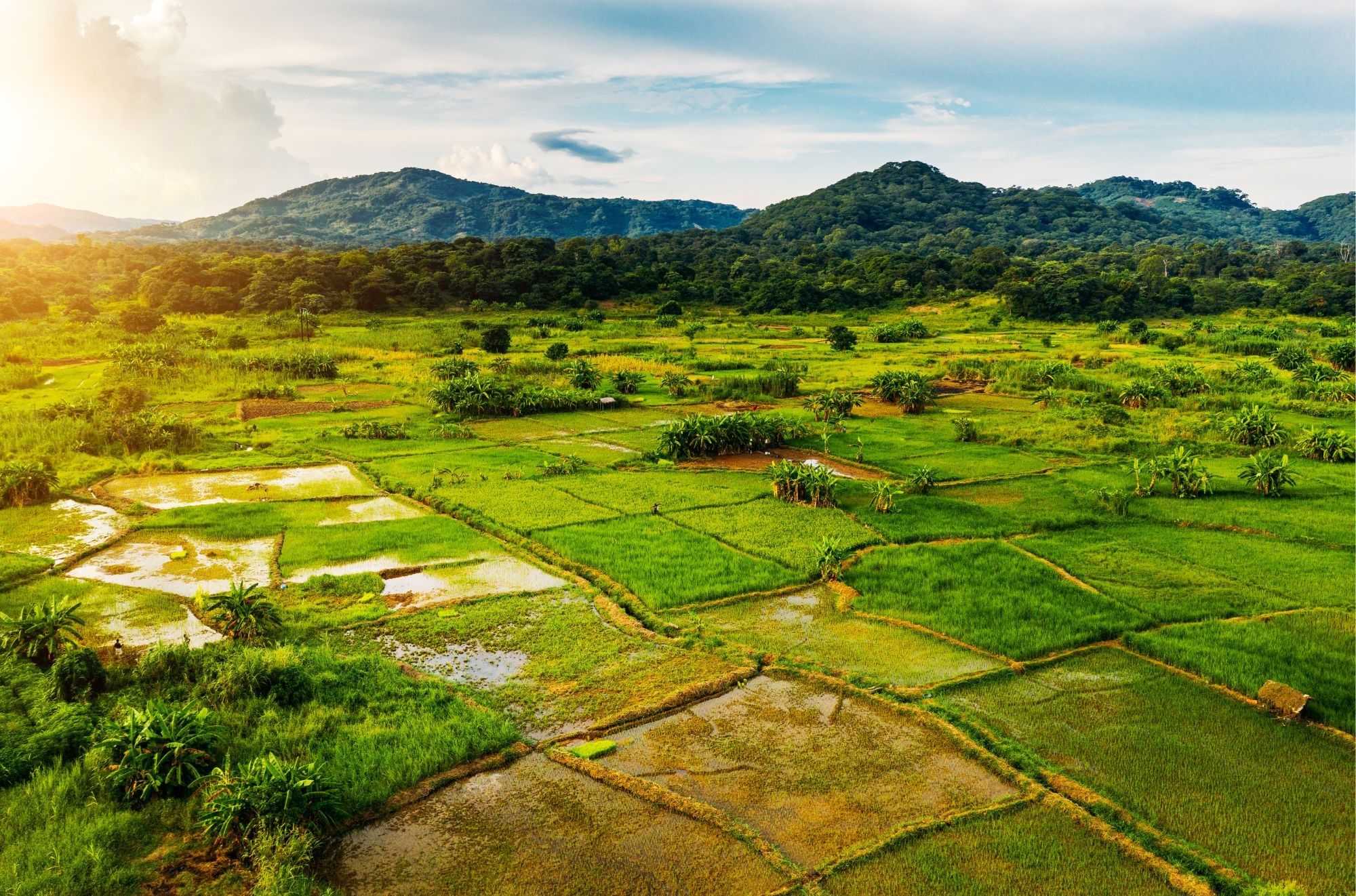 natur_Malawi.jpg