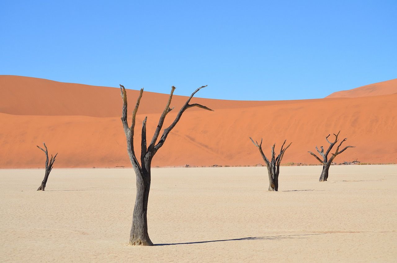 Sossusvlei